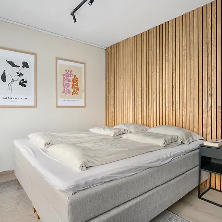 Appartement Deluxe Penthouse